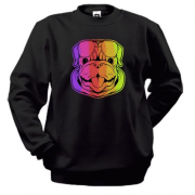 Світшот Rainbow Dog